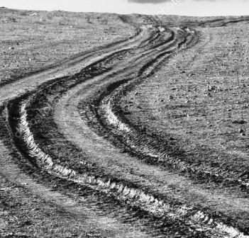 Country Road with Ruts