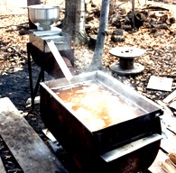 Boiling Maple Syrup